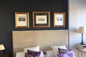 IMAGEN SUITE